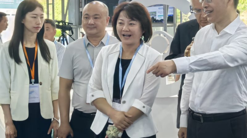 生产能力是衡量新能源汽车零部件厂家加盟条件的重要指标。合作伙伴需具备以下条件：